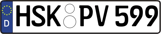 HSK-PV599