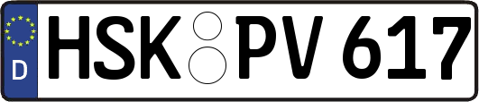 HSK-PV617