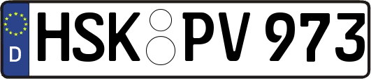 HSK-PV973
