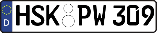 HSK-PW309