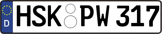 HSK-PW317