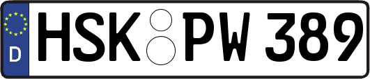 HSK-PW389