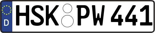 HSK-PW441