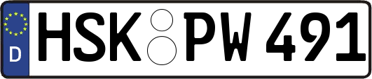 HSK-PW491