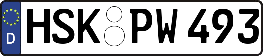 HSK-PW493