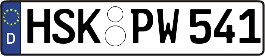 HSK-PW541