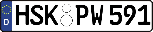 HSK-PW591