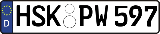 HSK-PW597