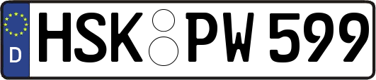 HSK-PW599