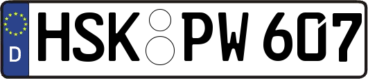 HSK-PW607