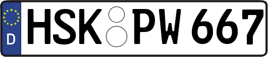 HSK-PW667