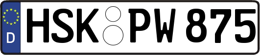 HSK-PW875