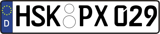 HSK-PX029