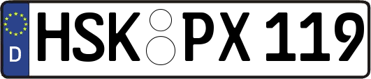 HSK-PX119