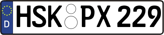HSK-PX229
