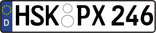 HSK-PX246