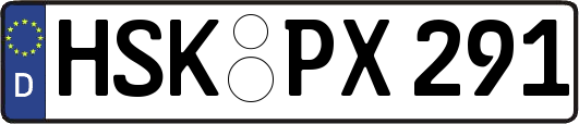 HSK-PX291