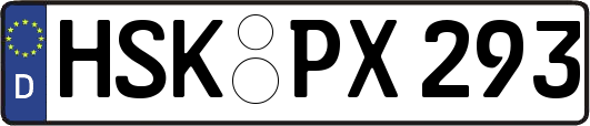 HSK-PX293