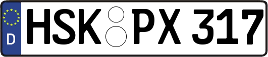 HSK-PX317