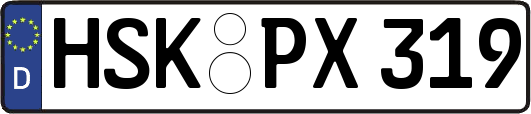 HSK-PX319