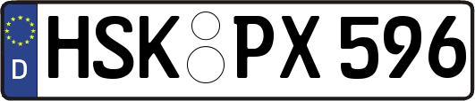 HSK-PX596