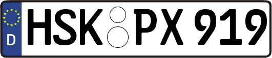 HSK-PX919