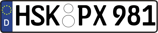 HSK-PX981