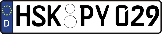 HSK-PY029