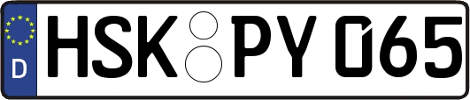 HSK-PY065