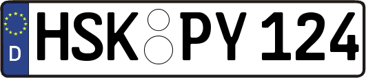 HSK-PY124