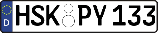HSK-PY133