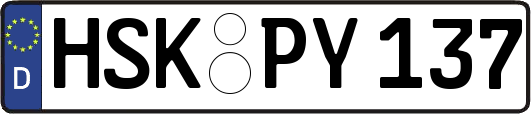 HSK-PY137