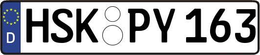 HSK-PY163