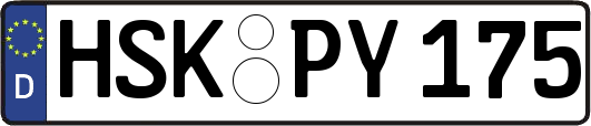 HSK-PY175