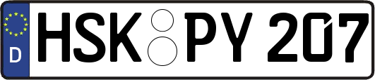 HSK-PY207