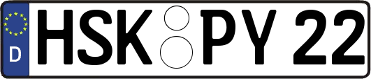 HSK-PY22