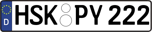 HSK-PY222