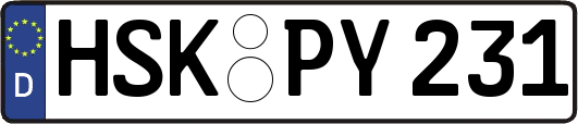HSK-PY231