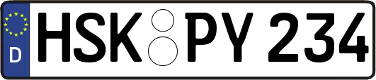 HSK-PY234