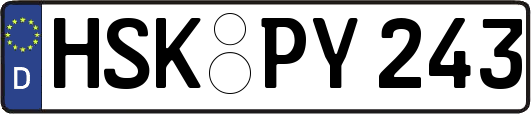 HSK-PY243