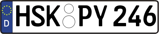 HSK-PY246