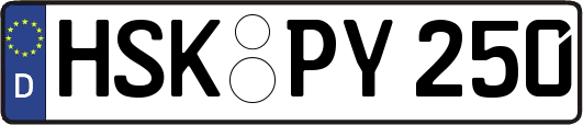 HSK-PY250