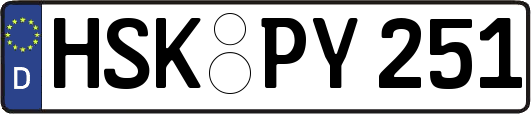 HSK-PY251