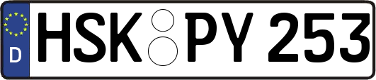 HSK-PY253