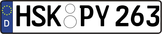 HSK-PY263
