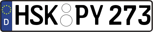 HSK-PY273