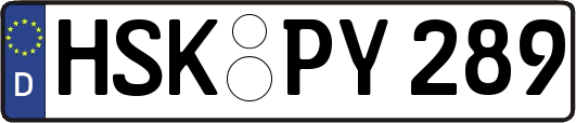 HSK-PY289