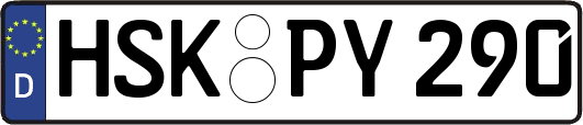 HSK-PY290