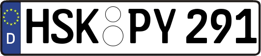 HSK-PY291