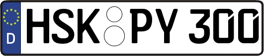 HSK-PY300